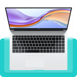 Honor MagicBook X16 5301AHWY (Intel i5-13500H, 16/1TB, Intel Iris Xe Graphics, Win11) (CN)